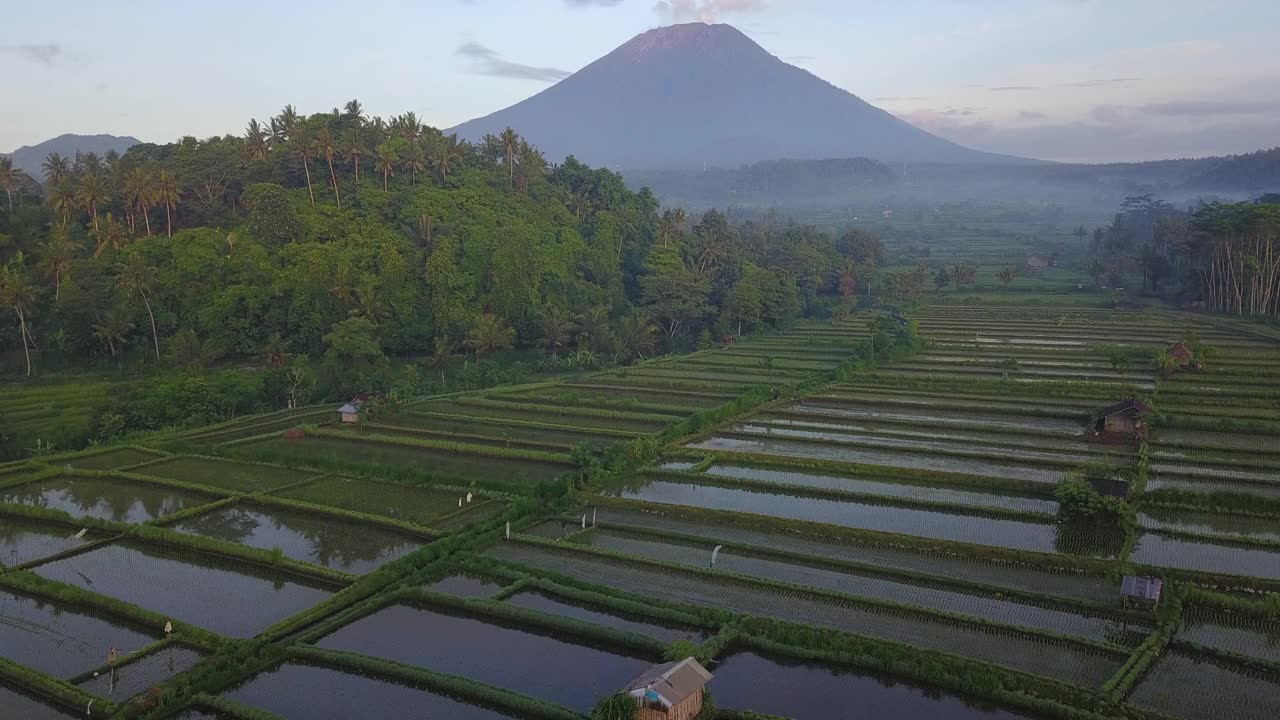 田野和稻田与山/巴厘岛，印度尼西亚视频素材