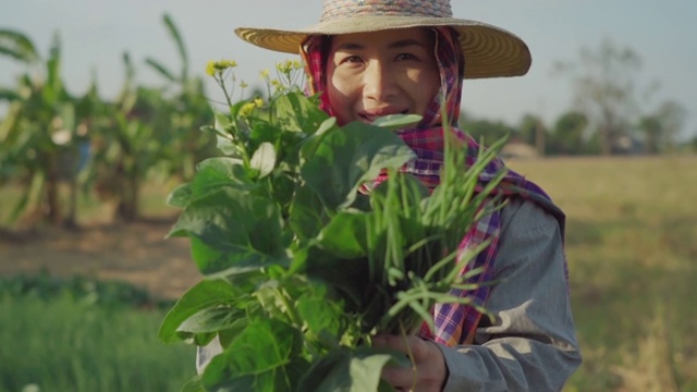 菜地里的女人笑得很开心。视频下载