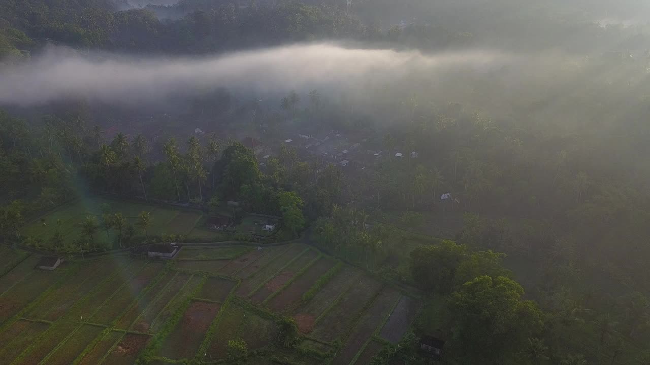 雾村/印尼巴厘岛视频素材