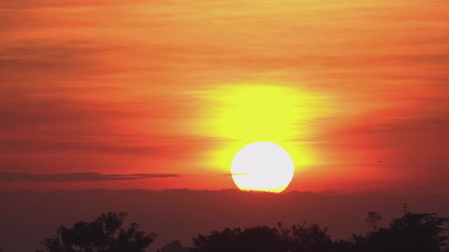 日出与大太阳。视频素材