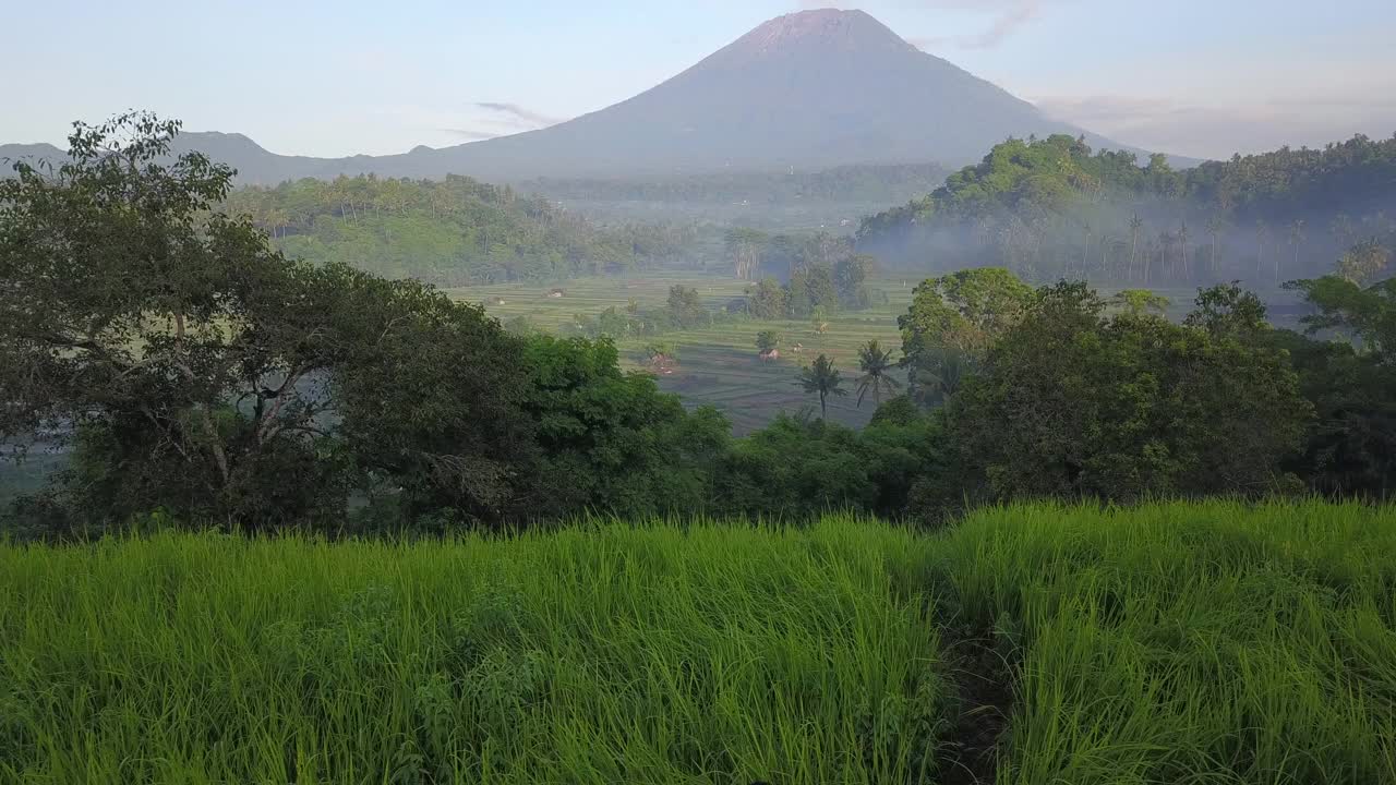 田野和稻田，山下山/巴厘岛，印度尼西亚视频素材