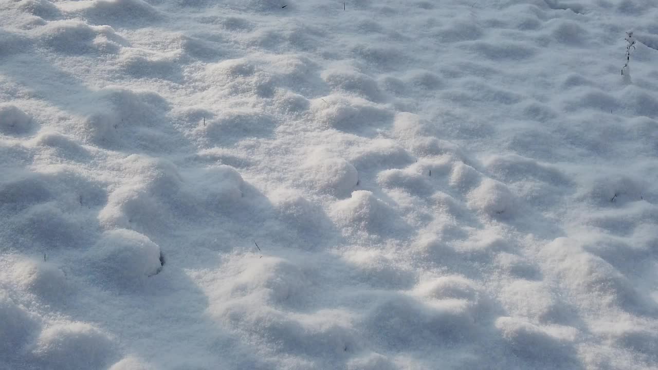 大雪和雪走视频素材