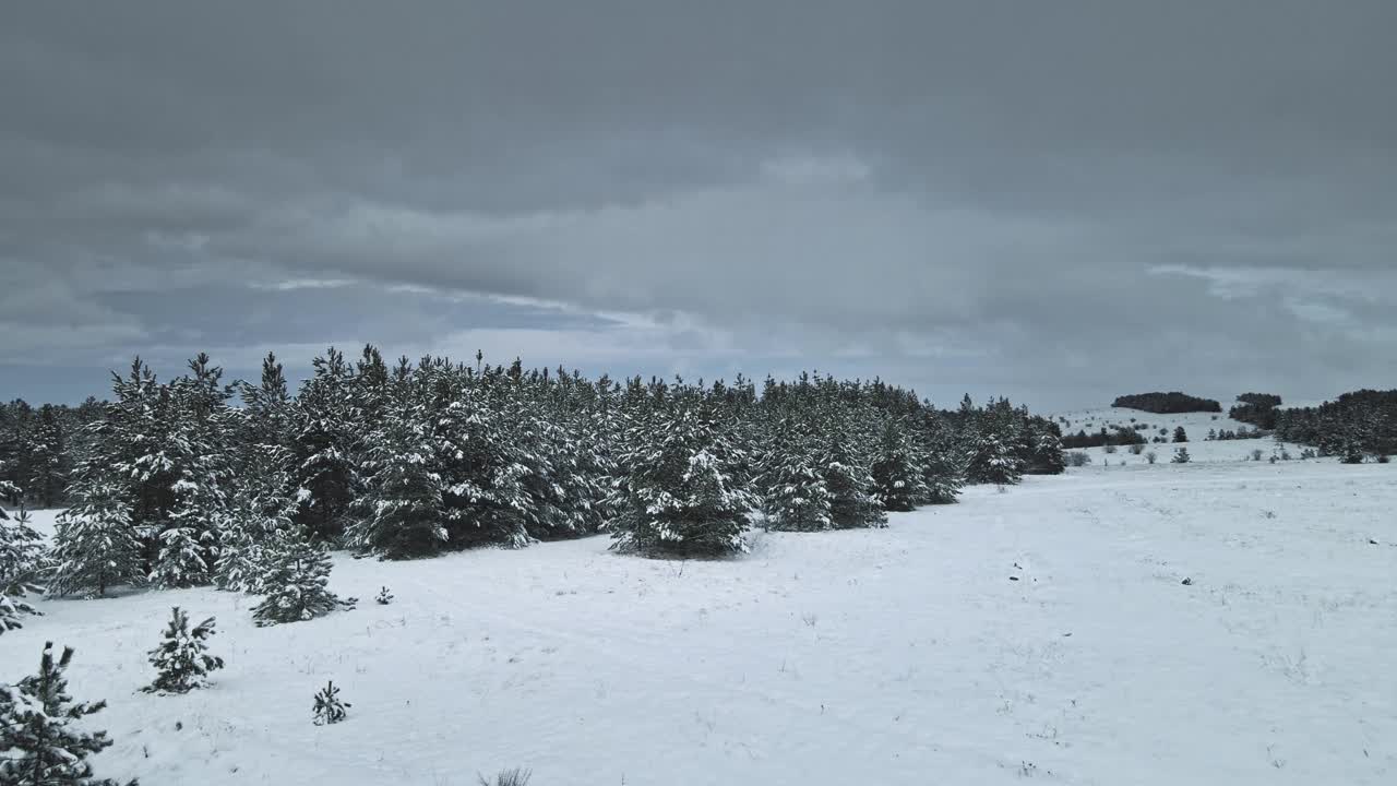 冬季森林自然雪覆盖冬季树木。空中视频素材