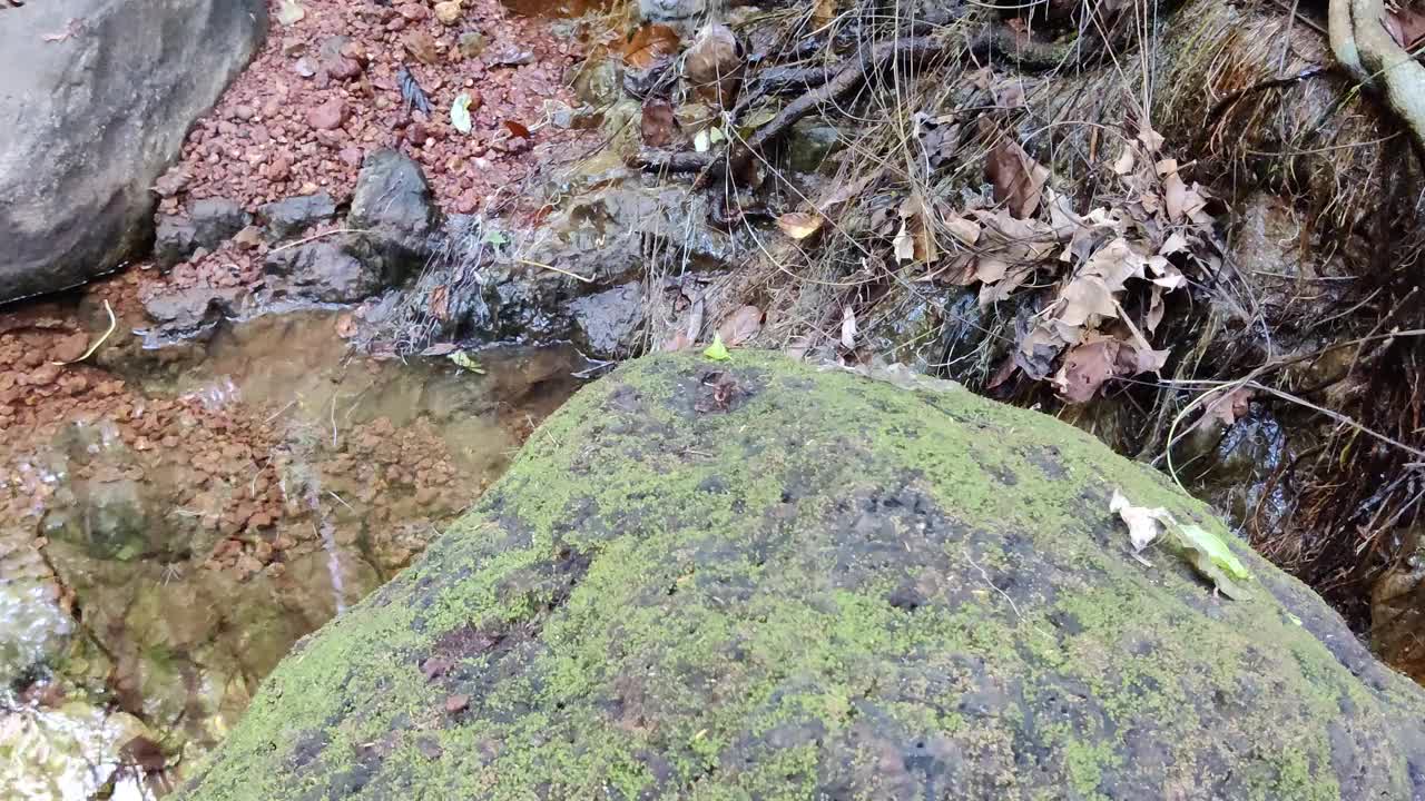 湍急的河水和石头视频素材