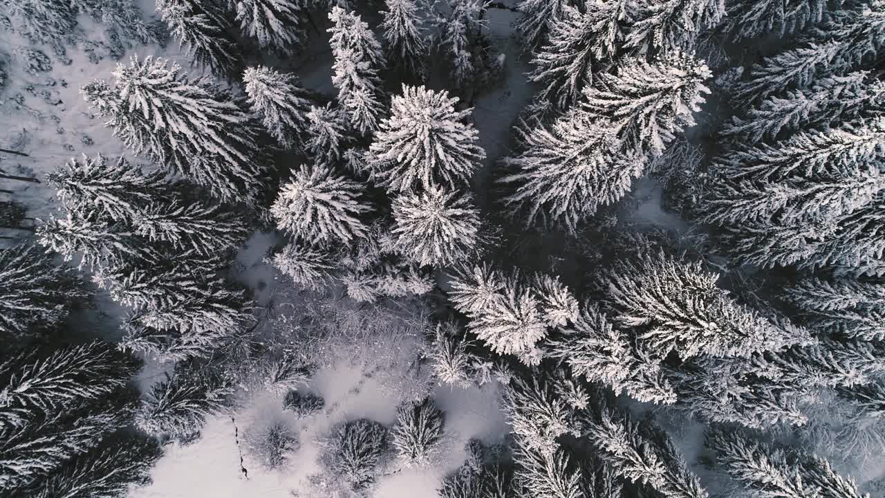 无人机在奥地利一座冰雪覆盖的山上飞行视频素材