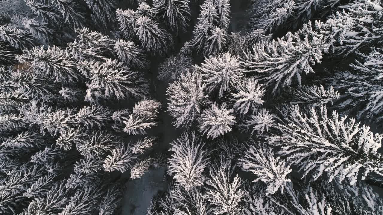 无人机在奥地利一座冰雪覆盖的山上飞行视频素材