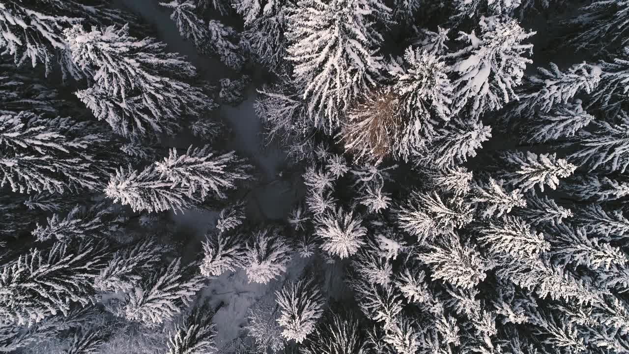 无人机在奥地利一座冰雪覆盖的山上飞行视频素材