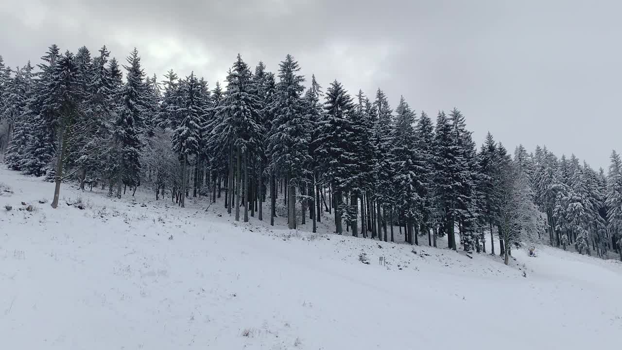 冬天的森林被雪覆盖视频素材