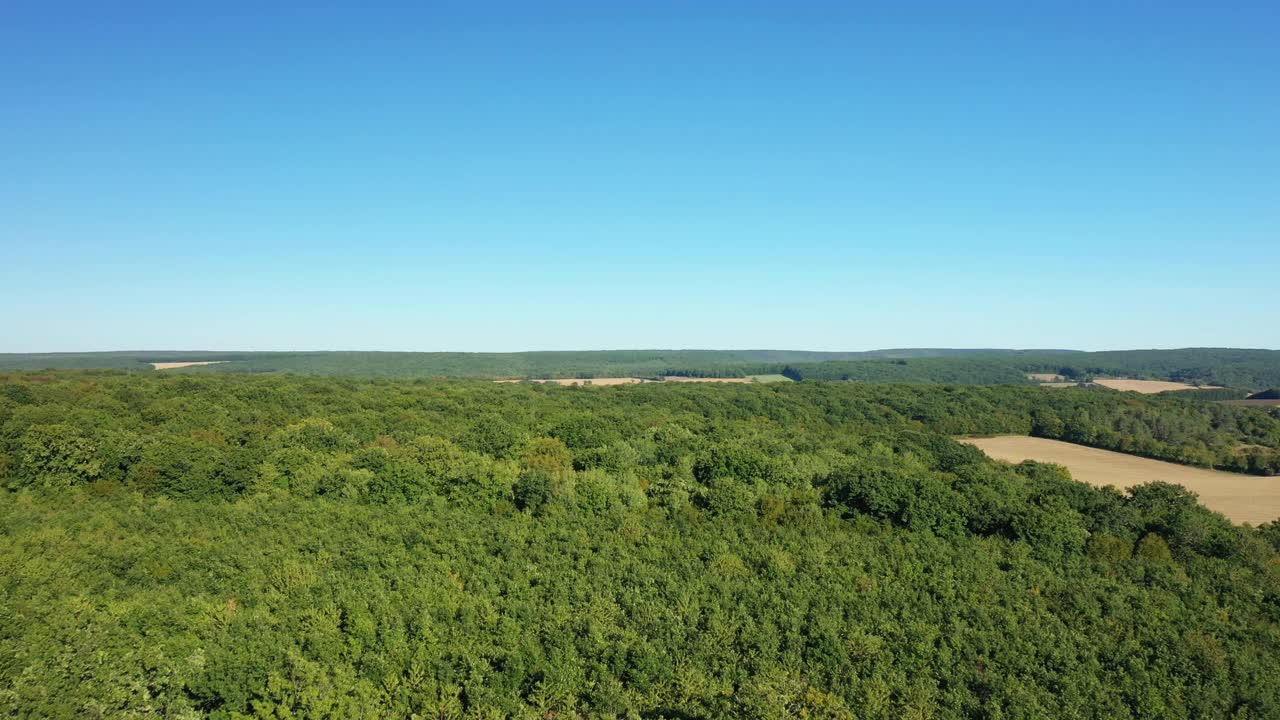 在法国勃艮第Nièvre的Cuncy les Varzy村，夏日和阳光明媚的一天，收获后的麦田和绿色的森林。视频素材