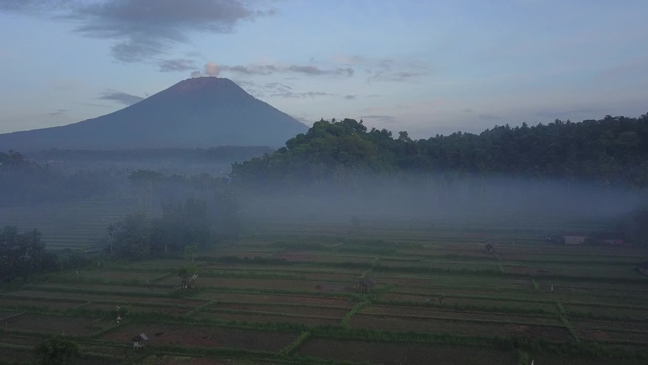 雾田和稻田的山/巴厘岛，印度尼西亚视频素材