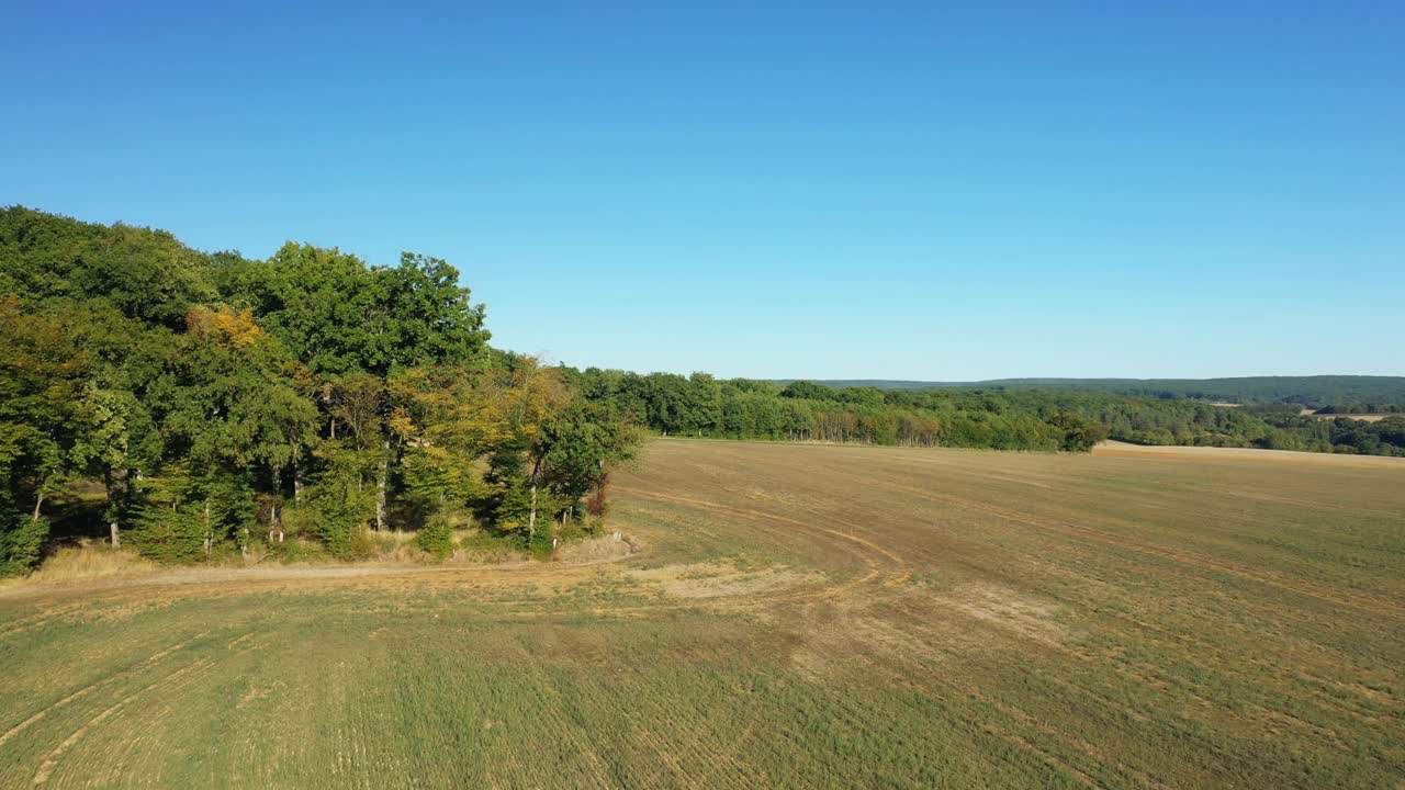 在法国勃艮第Nièvre的Cuncy les Varzy村，夏日和阳光明媚的一天，收获后的麦田和Mhers hammeau的绿色森林。视频素材