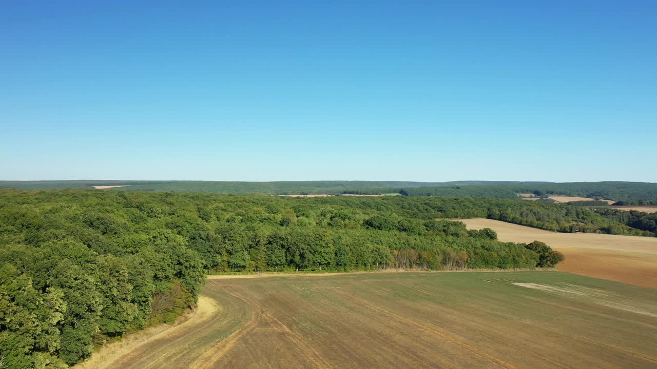 在法国勃艮第Nièvre的Cuncy les Varzy村，夏日和阳光明媚的一天，收获后的麦田和Mhers hammeau的绿色森林。视频素材