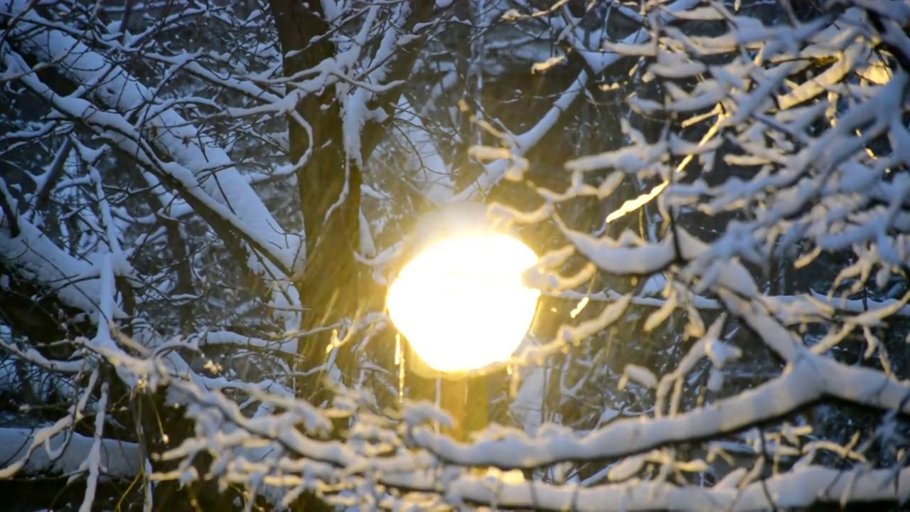 外面下着雪，映衬着街灯的灯光视频素材