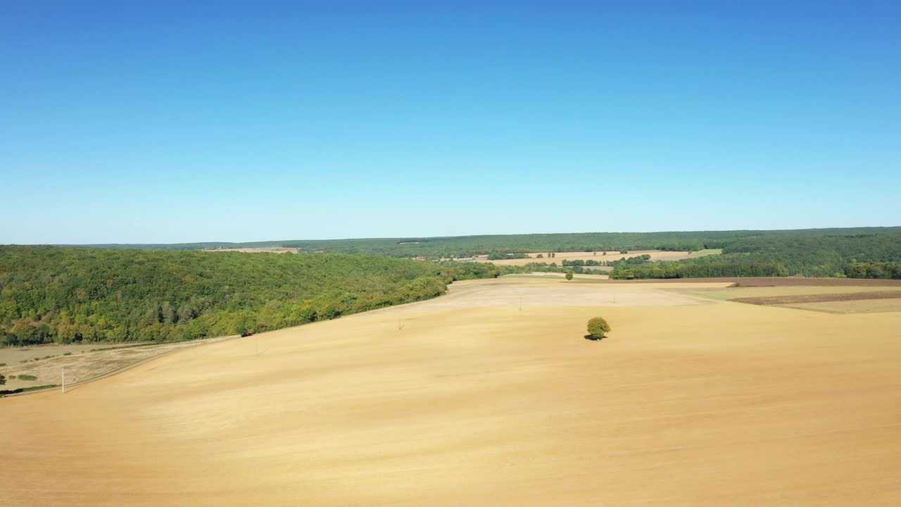 在法国勃艮第Nièvre的Cuncy les Varzy村，夏日和阳光明媚的一天，收获后的麦田和Mhers hammeau的绿色森林。视频素材