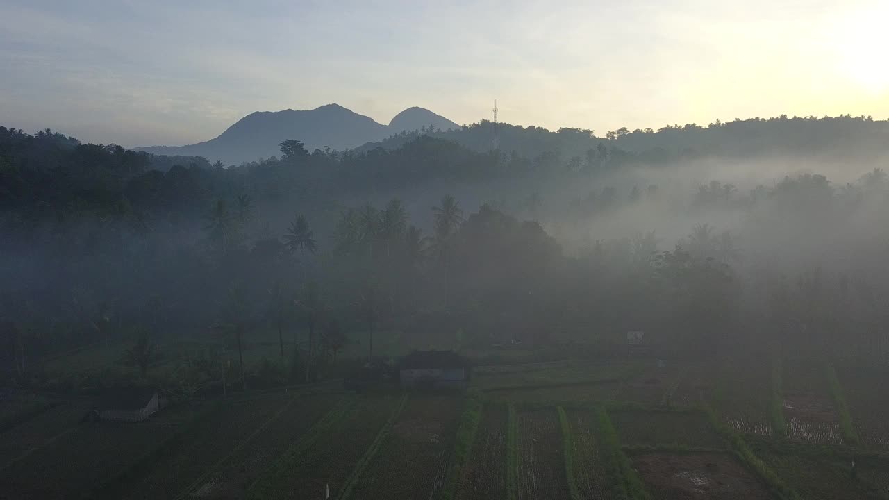 雾田和稻田的山/巴厘岛，印度尼西亚视频素材