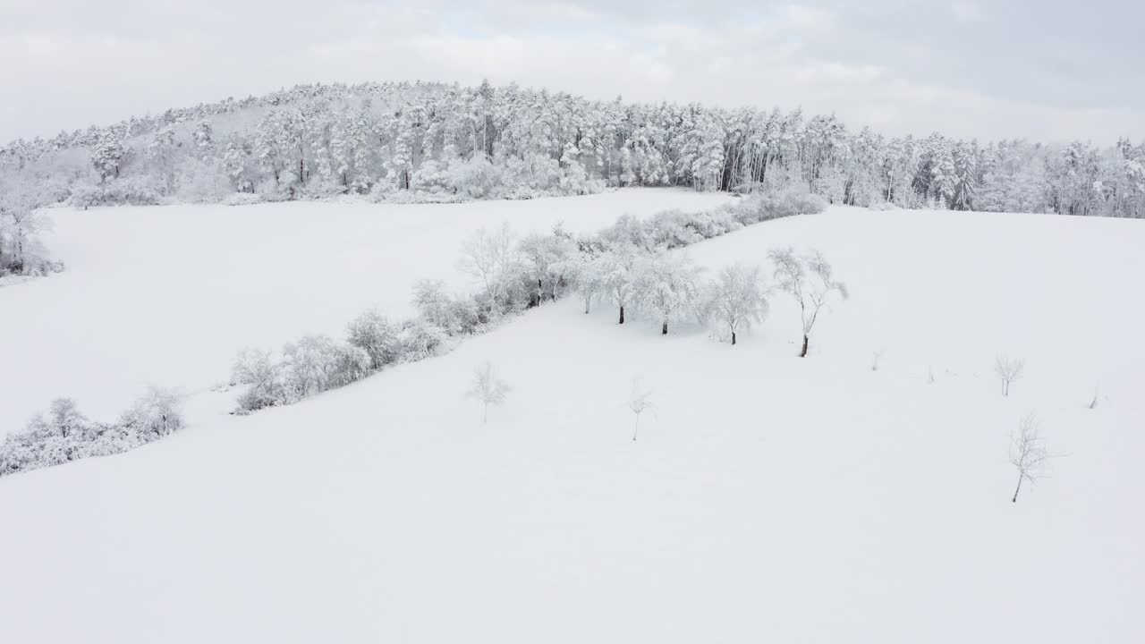 冬天下雪的乡村景观，Frankenhoehe, Franconia，德国。视频素材