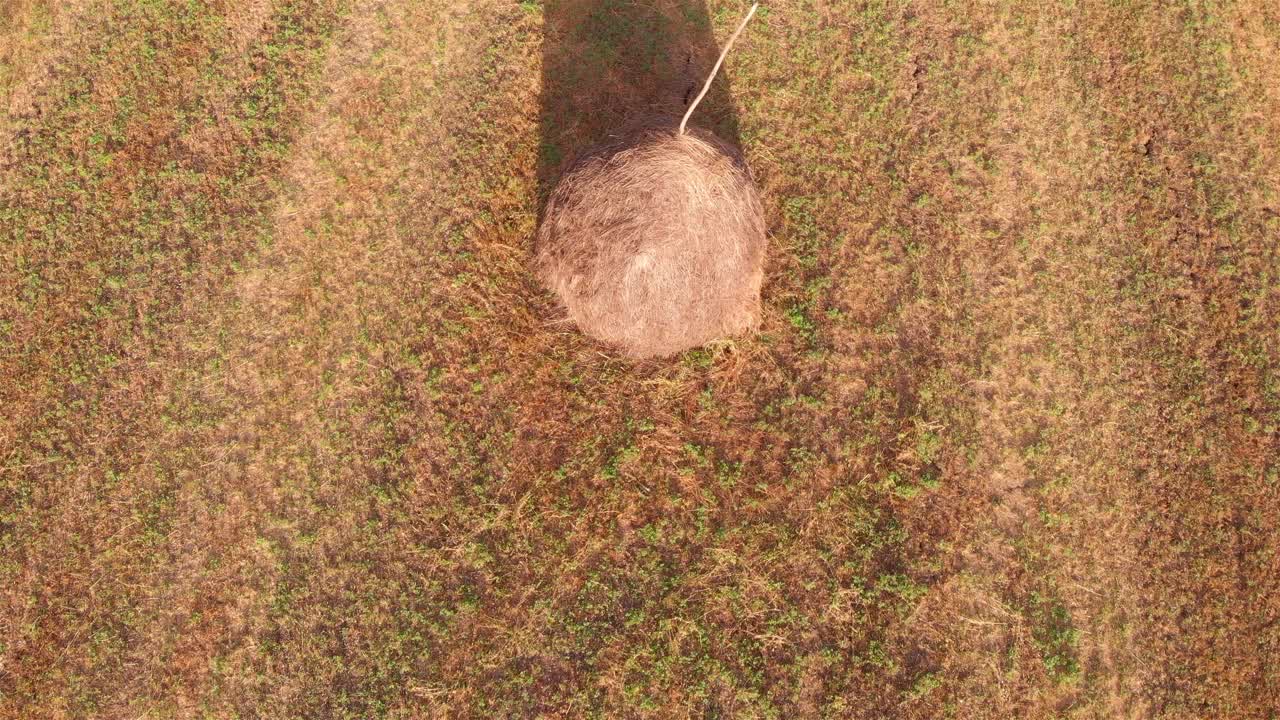 欧洲干草堆附近的空中镜头视频素材