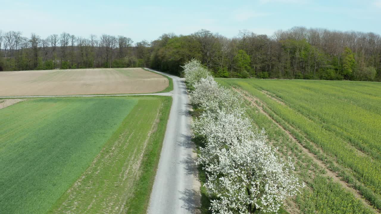 鸟瞰盛开的果树和道路，弗兰科尼亚，德国视频素材