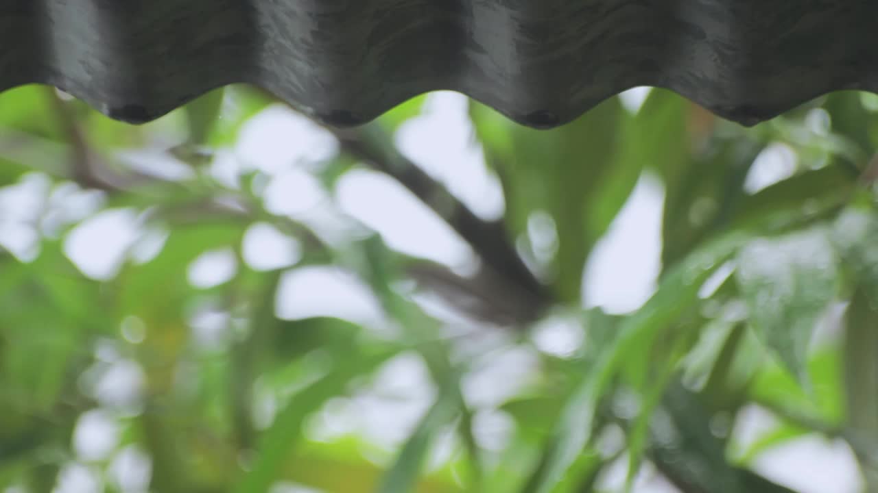 雨水的流动和下降视频下载