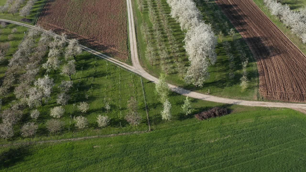 鸟瞰盛开的果树和空旷的道路，弗兰科尼亚，德国视频素材