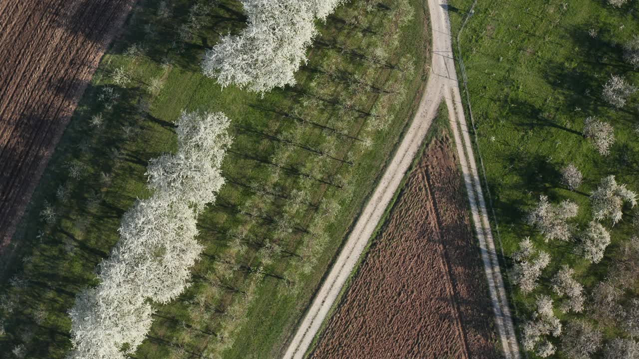 鸟瞰盛开的果树和空旷的道路，弗兰科尼亚，德国视频素材