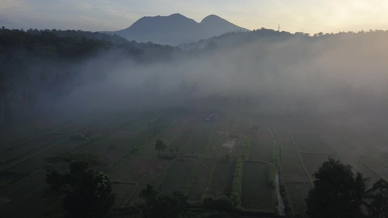 雾田和稻田的山/巴厘岛，印度尼西亚视频素材