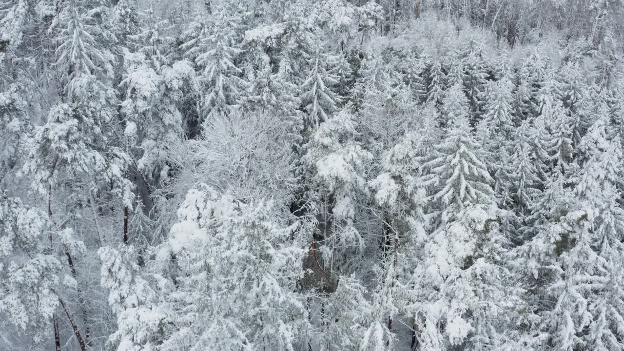 冰雪覆盖的森林鸟瞰图，Frankenhoehe, Franconia，德国视频素材