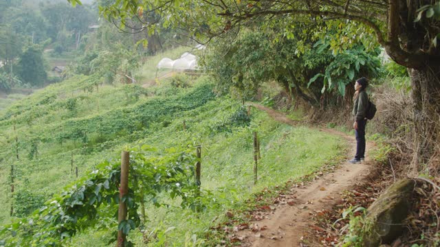 亚洲女性在乡村旅行中用相机拍照，以山和森林为背景的风景。自然旅行的概念。4 k慢动作。视频素材