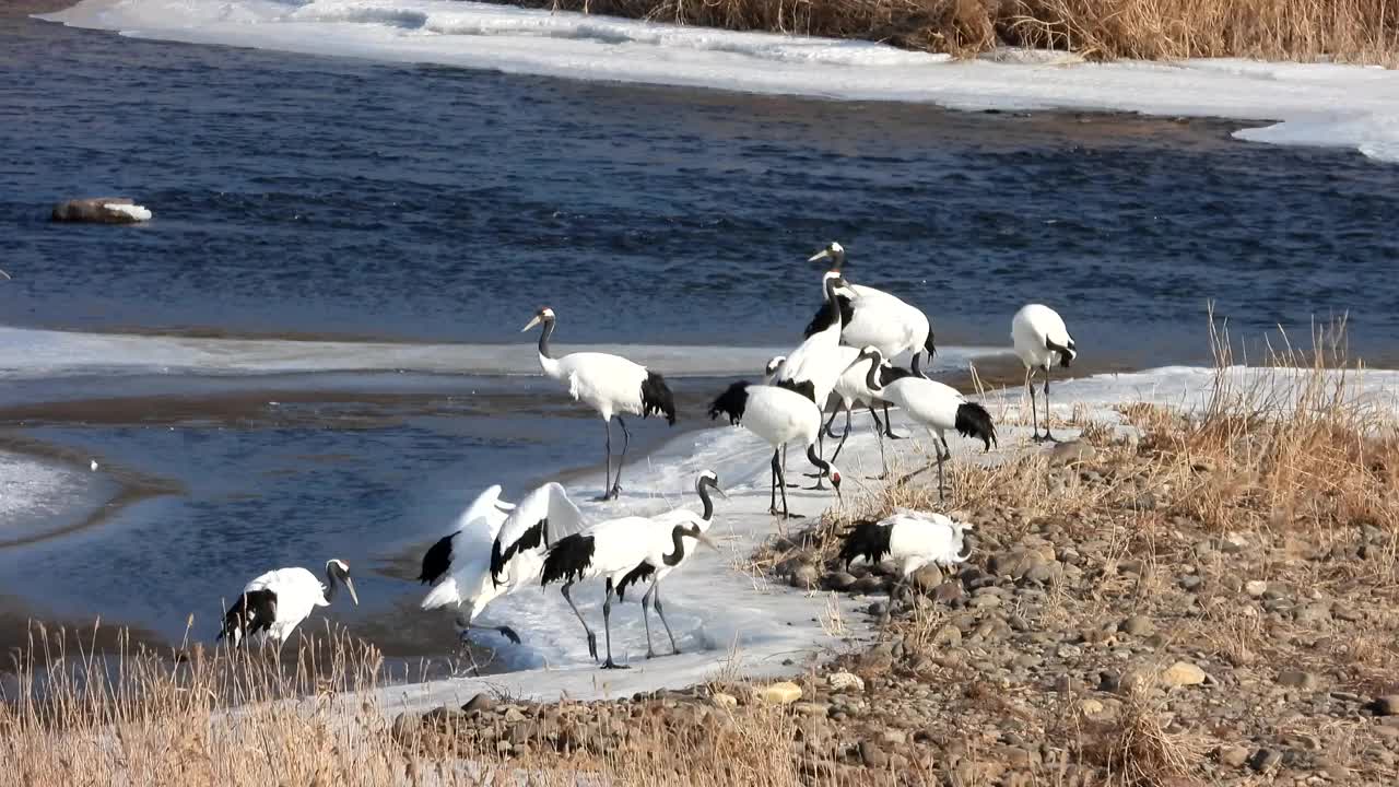 韩国江原道，东京都水库的起重机视频素材