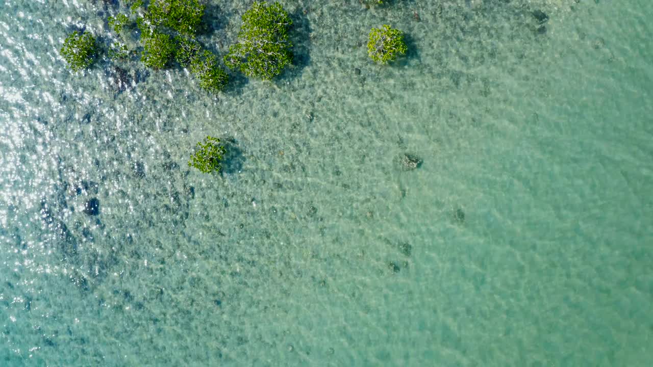 鸟瞰图的沙滩与清澈的绿松石水视频素材