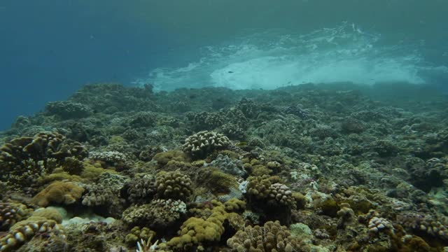 水下海浪冲击岩石视频素材