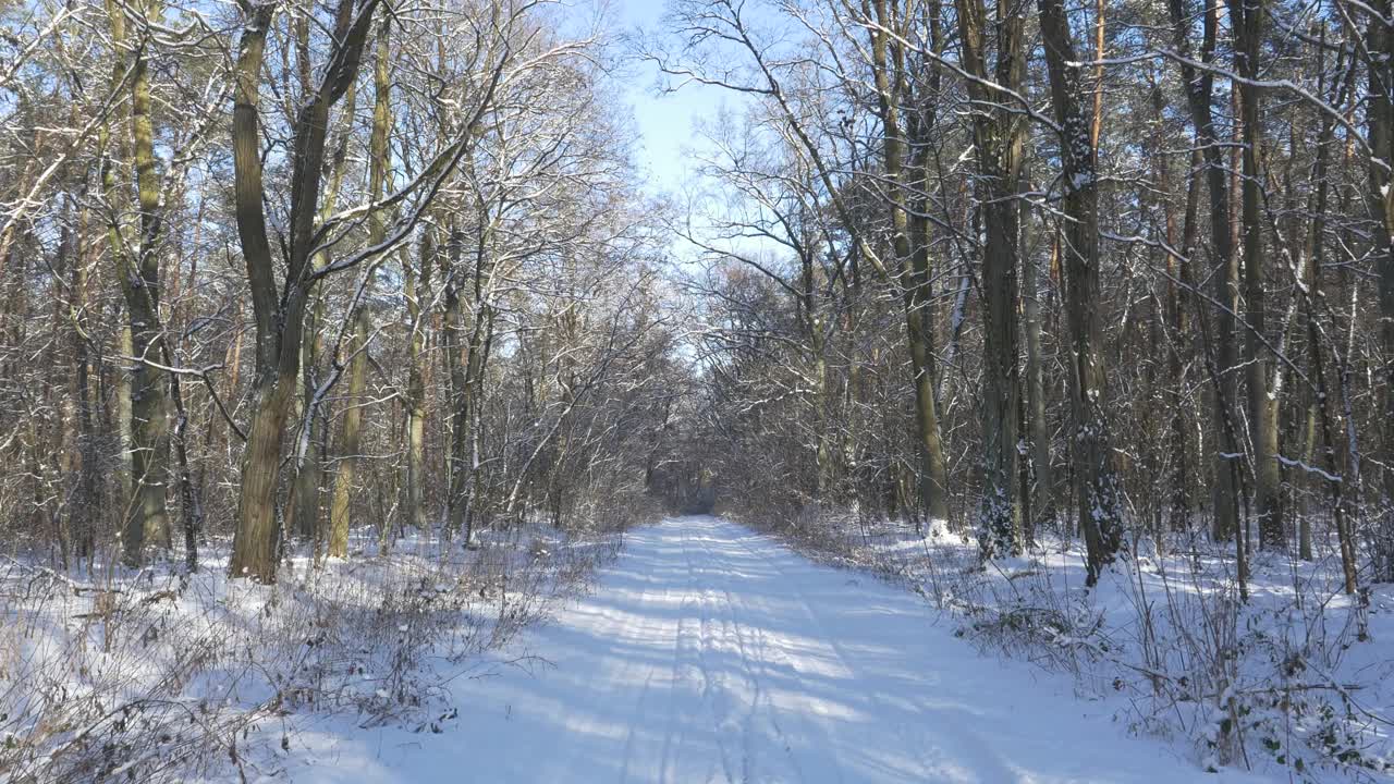 在一个美丽的冬日里，森林里的道路和树上覆盖着积雪。蓝色的天空。视频素材