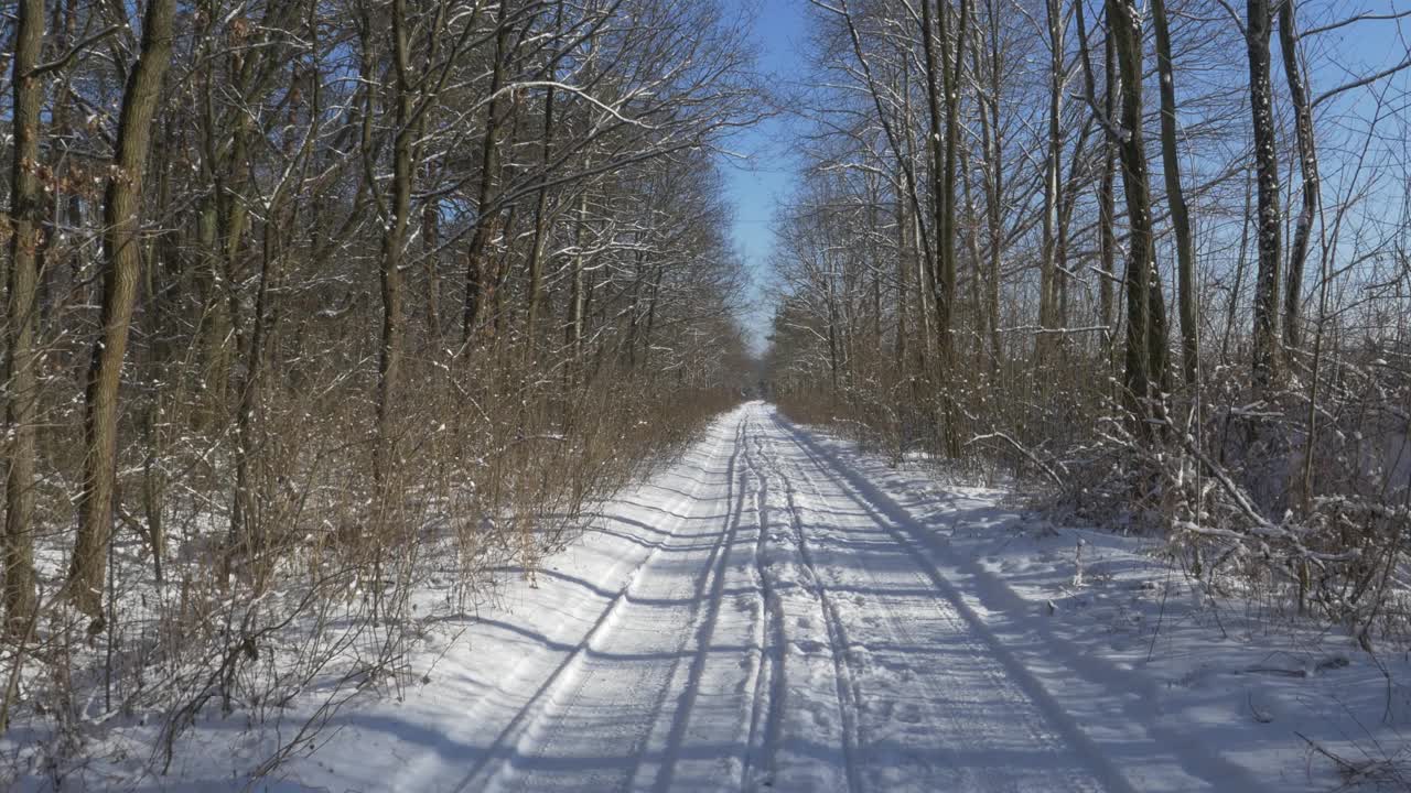 在一个美丽的冬日里，覆盖着积雪的森林道路。蓝色的天空。视频素材