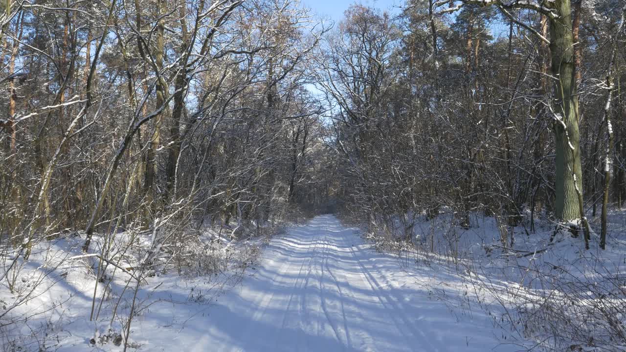 在一个美丽的冬日里，森林里的道路和树上覆盖着积雪。蓝色的天空。视频下载