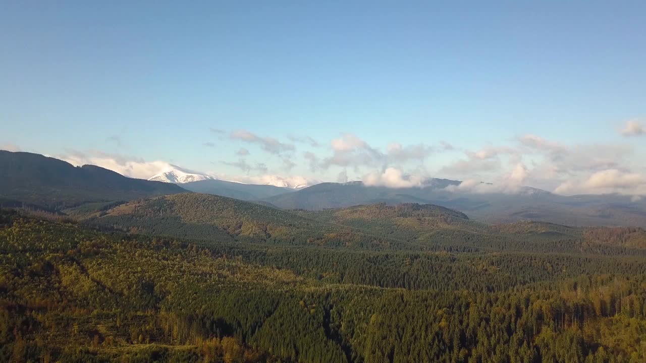 鸟瞰图雄伟的山脉覆盖着绿色云杉森林和高雪峰。视频素材