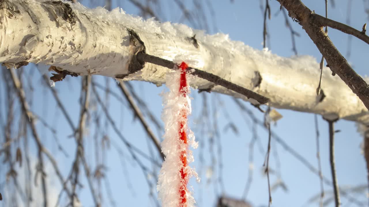 装扮圣诞树视频素材