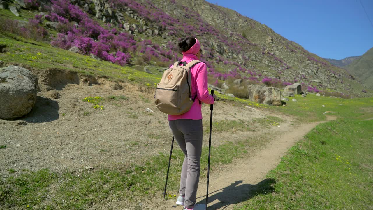 旅行家女人背着背包走在高山的花山上视频素材