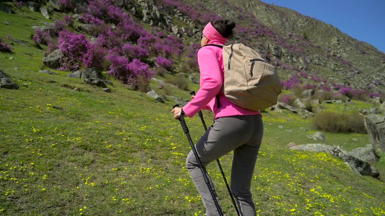 旅行家女人背着背包走在高山的花山上视频素材