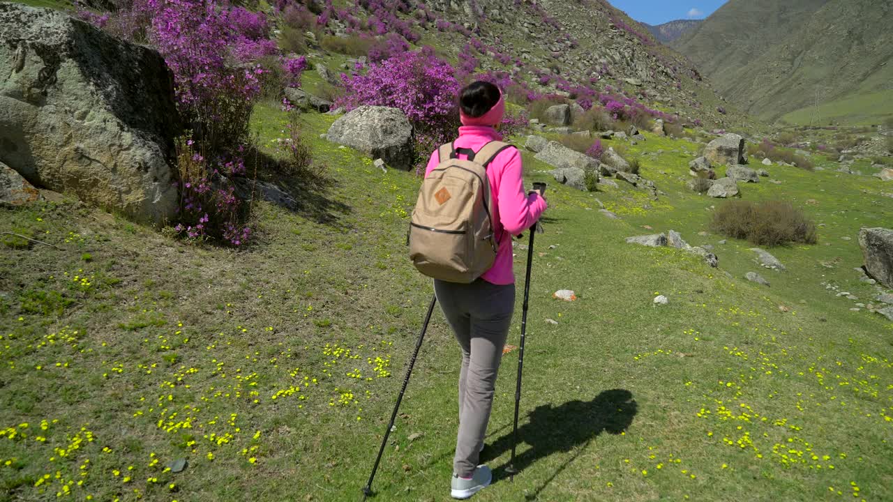 旅行家女人背着背包走在高山的花山上视频素材