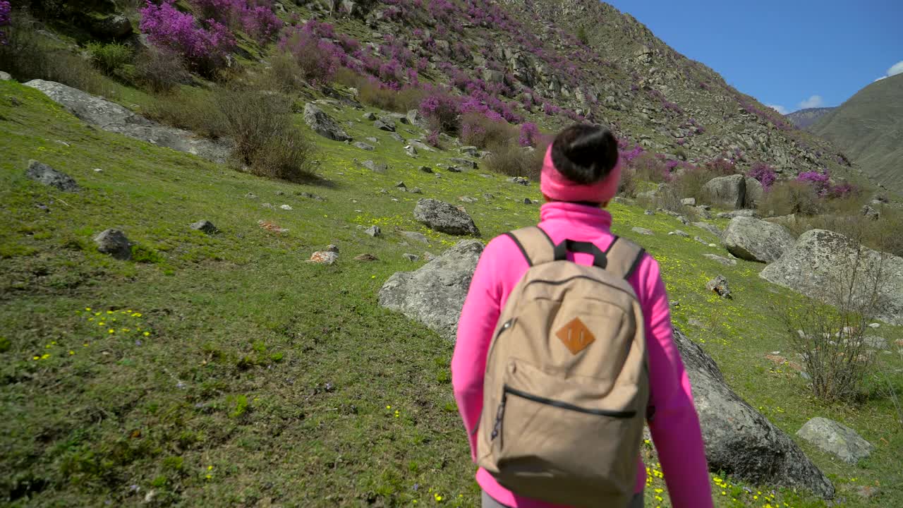 旅行家女人背着背包走在高山的花山上视频素材