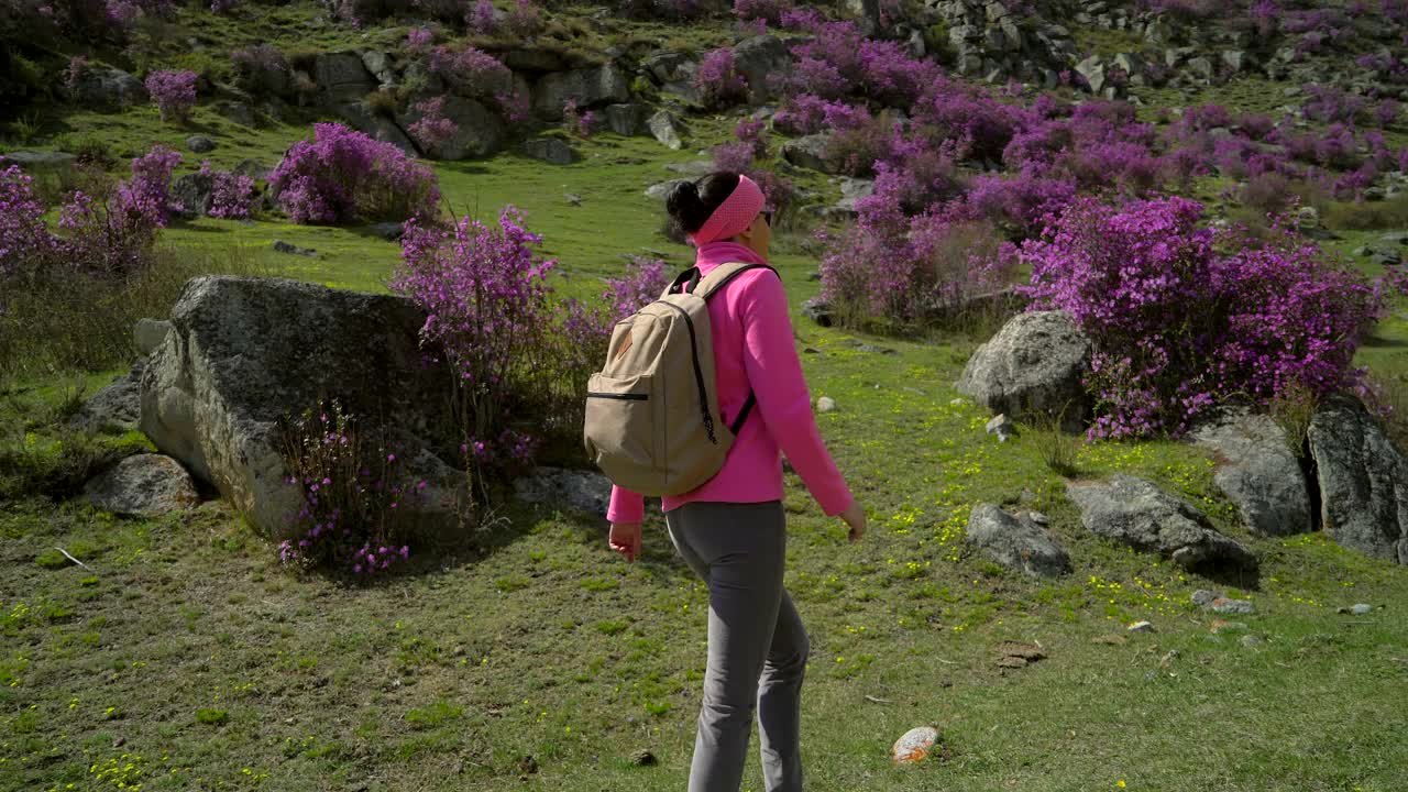 旅行家女人背着背包走在高山的花山上视频素材