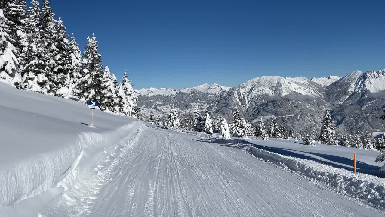 滑雪胜地的白雪树和粉雪视频素材