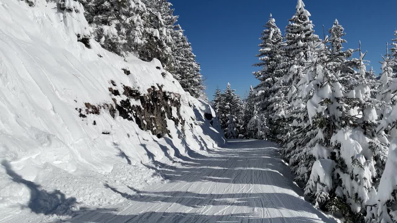 滑雪胜地的白雪树和粉雪视频素材