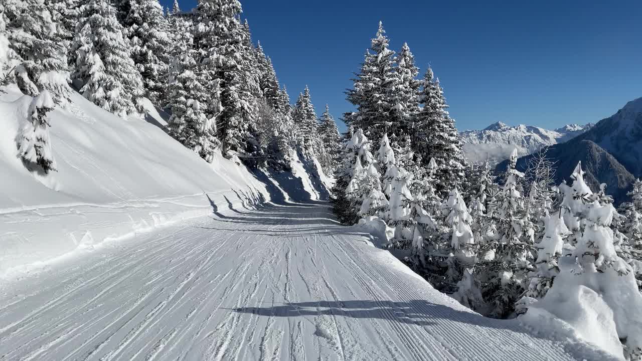 滑雪胜地的白雪树和粉雪视频素材