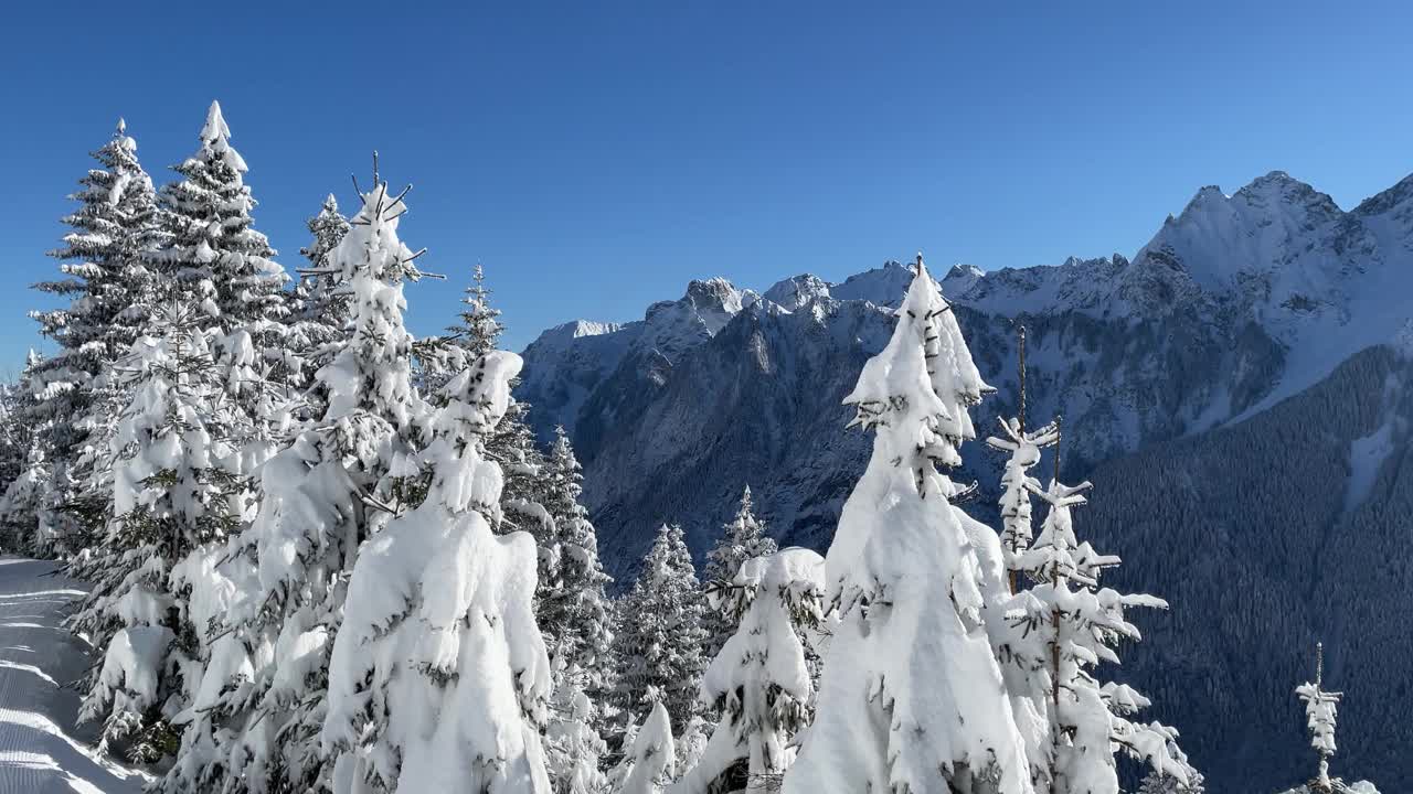 白雪皑皑的树木和群山视频素材