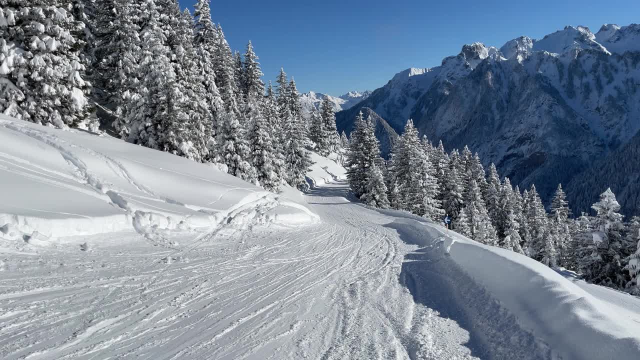 滑雪胜地的白雪树和粉雪视频素材