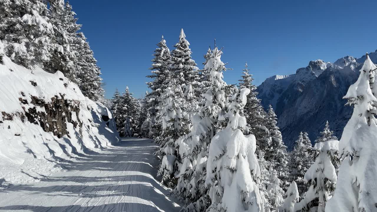 白雪皑皑的树木和群山视频素材