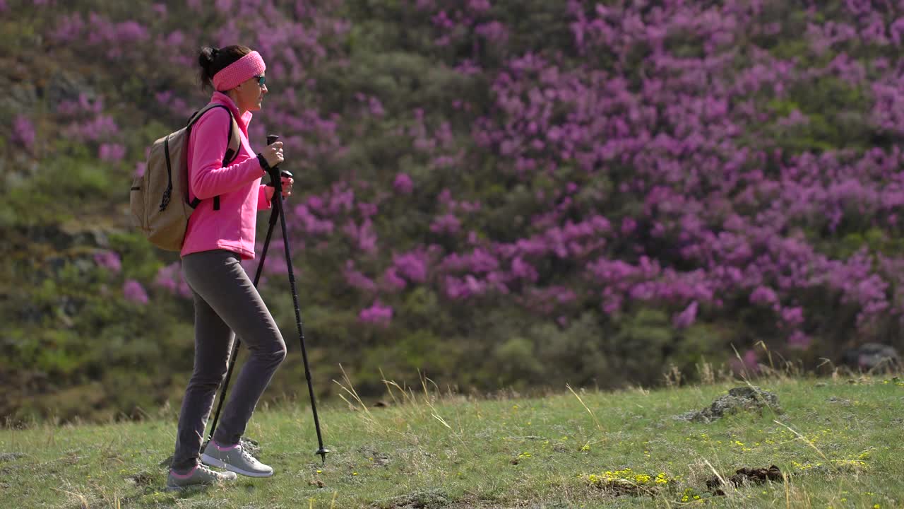 旅行家女人背着背包走在高山的花山上视频素材