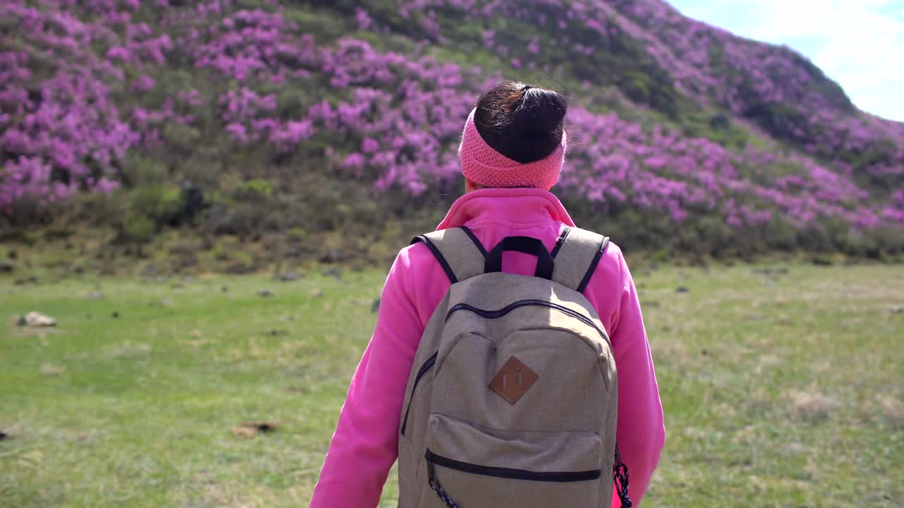 旅行家女人背着背包走在高山的花山上视频素材