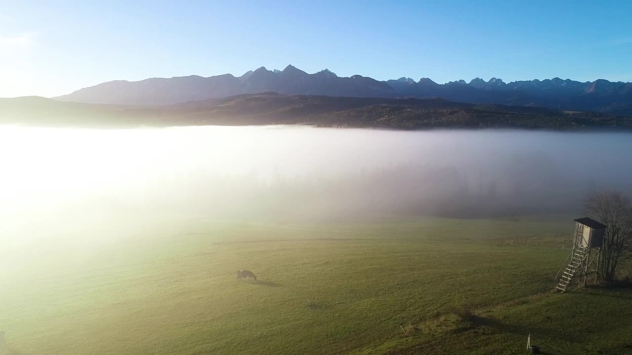 山史诗般的空中。高山景色。晴朗多雾的早晨，史诗般的高山景观，森林被雾覆盖。欧洲波兰塔特拉山脉全景。黎明田园诗般的场景。视频素材